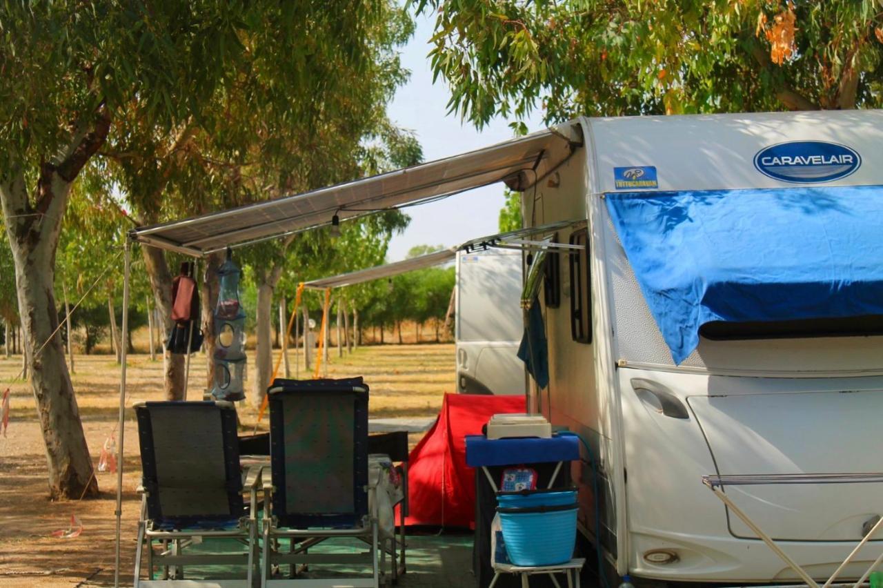 Villaggio Camping Poseidon - Bungalows & Rooms With Sea View In Nature Santa Caterina Dello Ionio Marina Ngoại thất bức ảnh